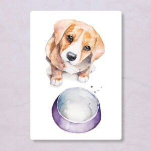 Dieren kaart