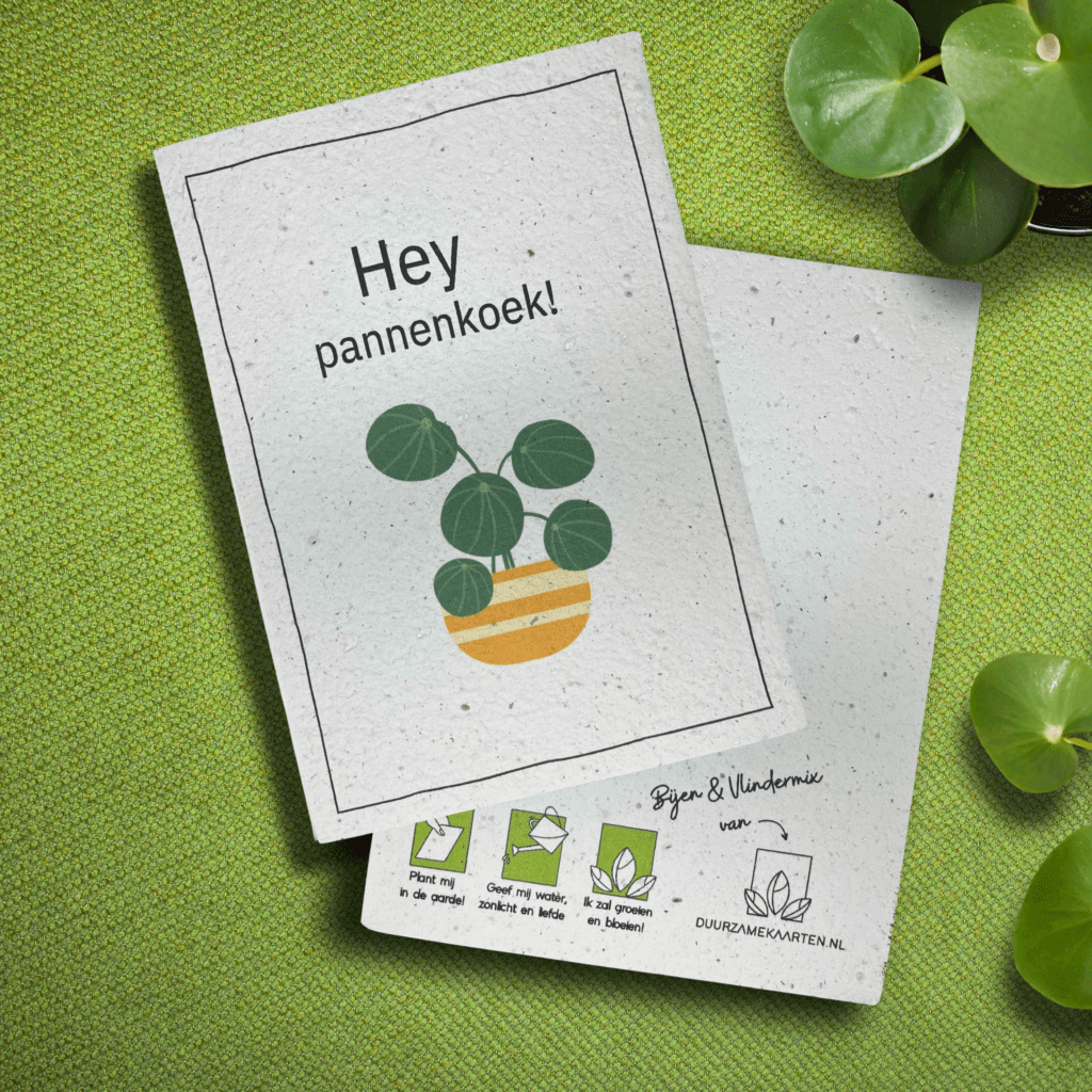 humoristische groeikaart pannenkoek