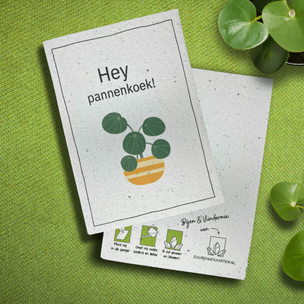 humoristische groeikaart pannenkoek