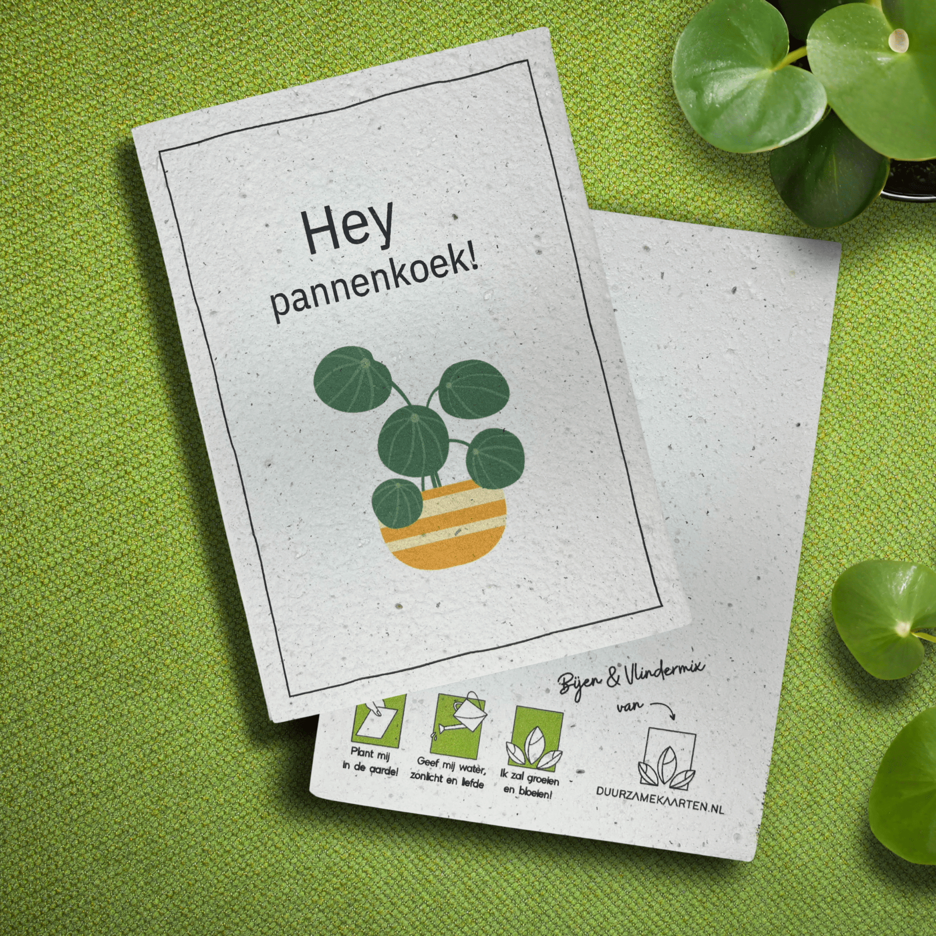 humoristische groeikaart pannenkoek