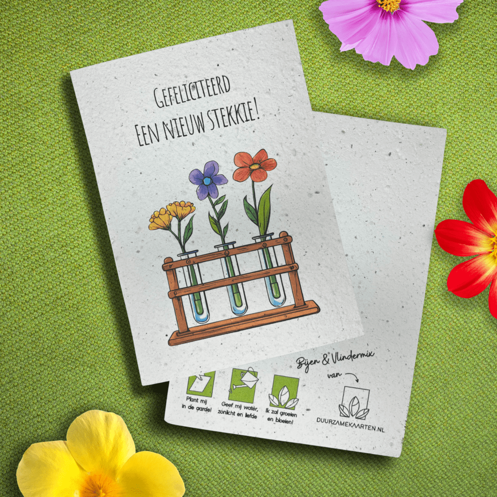 Nieuw huis felicitatiekaart